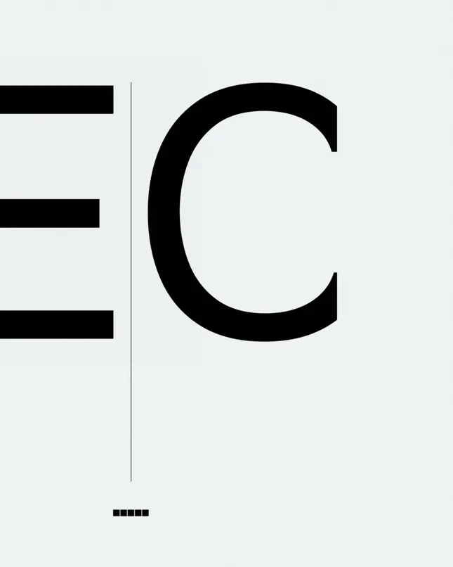 LECAS Web & RFID