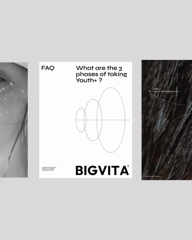 BIGVITA Compositional Design