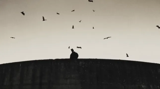 MAL AIMÉS - Ynnis ft So la lune