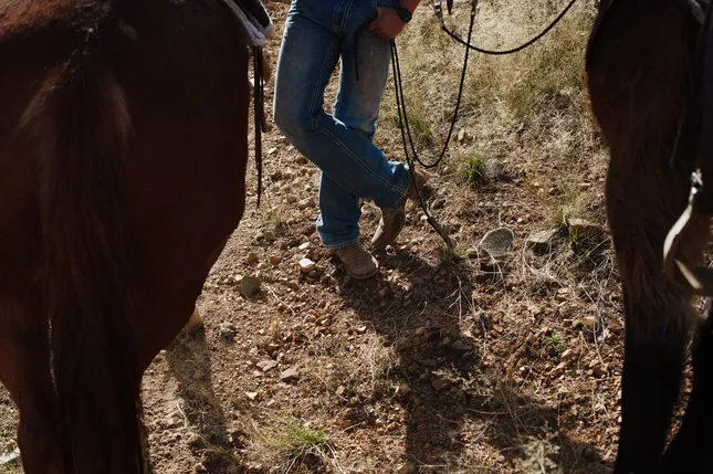 Elkhorn Ranch