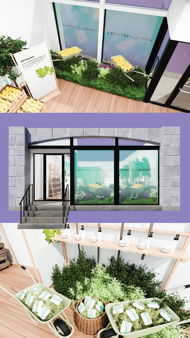 Project image