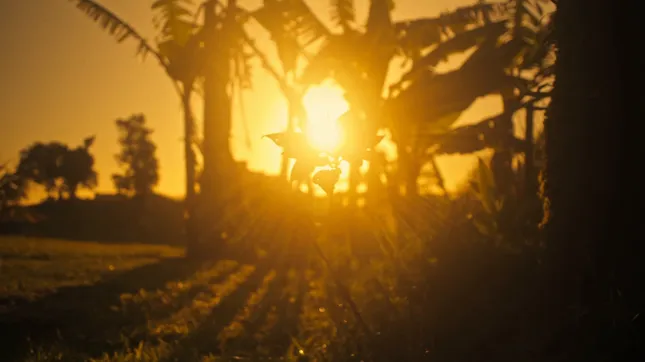 Cinematography Reel