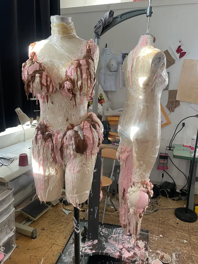 Project image