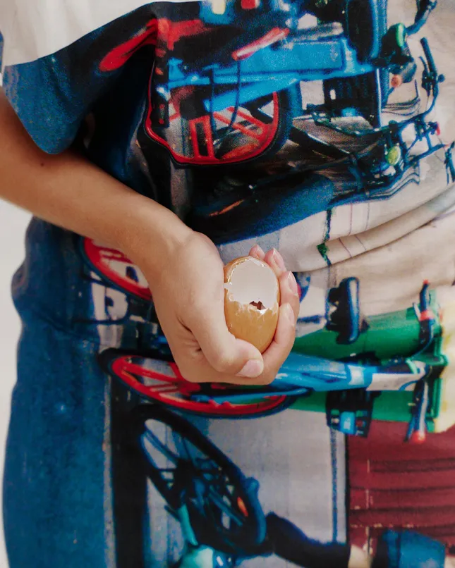 Project image