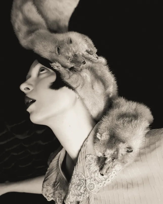 The Mink