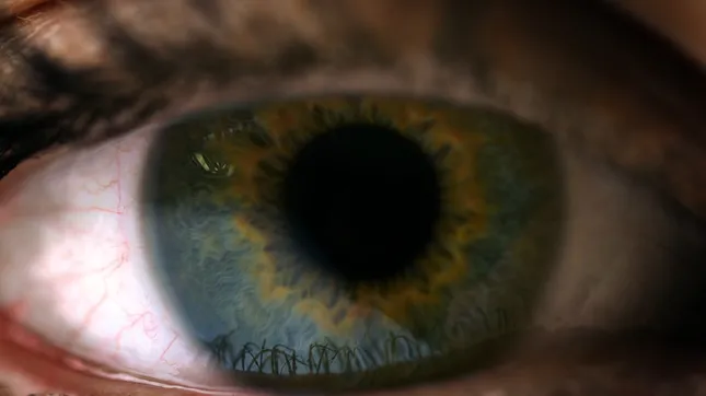 DP Showreel