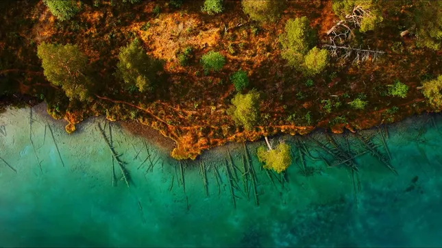 Project image