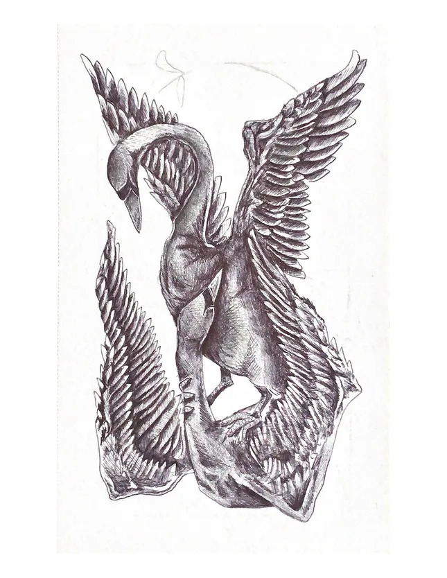 Ink Illustrations