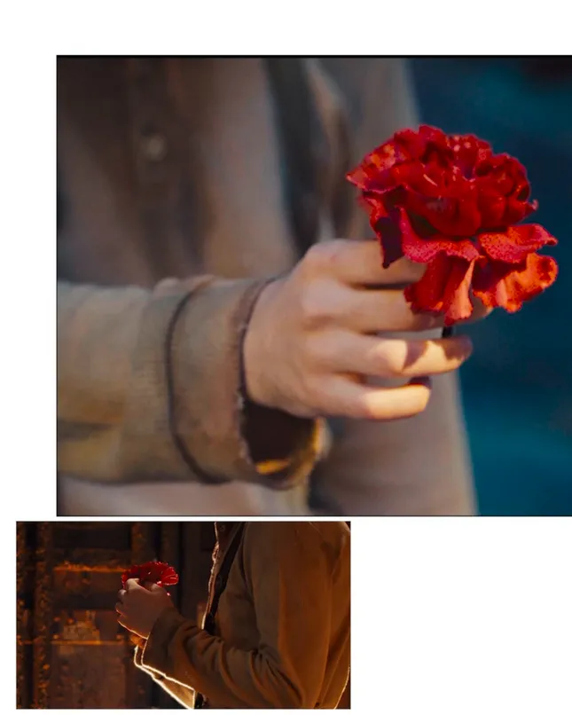 hadestown • social content