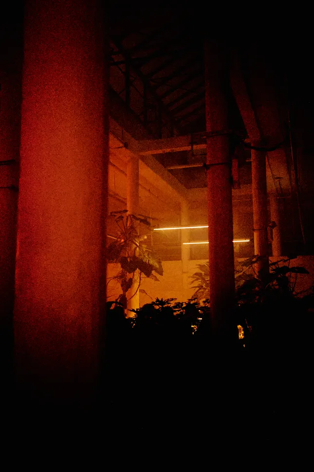 Project image