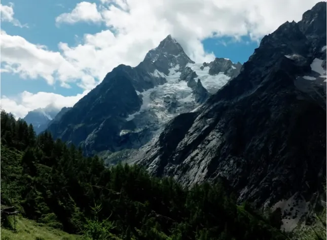 Salomon: Nature Always Finds A Way
