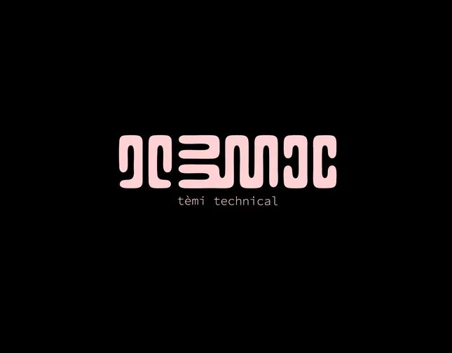 Visual Identity for Temi Technical