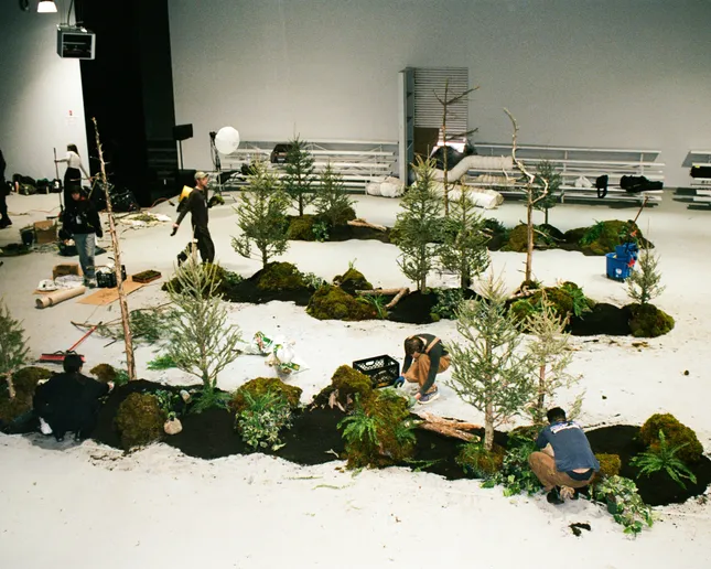 Project image