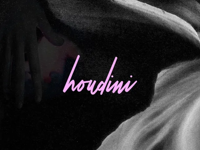 Houdini Interactive Brand