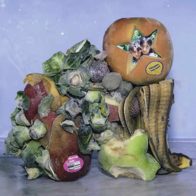 FRUIT FOR FLIES- the army, the navy