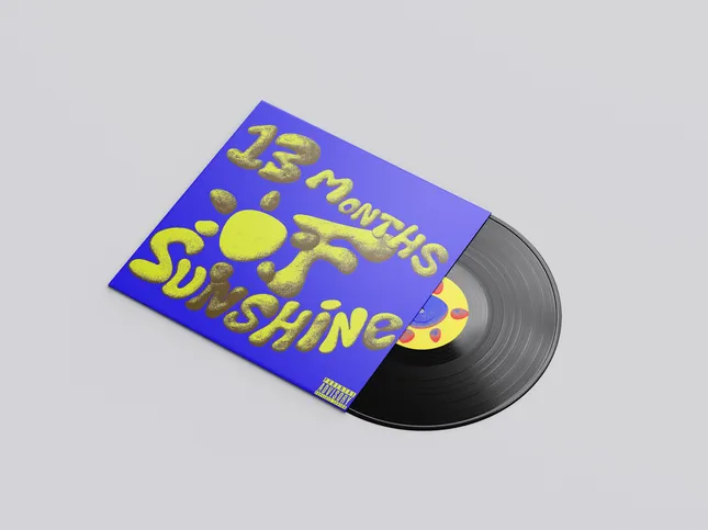 13 Months of sunshine redesign- AMINÈ