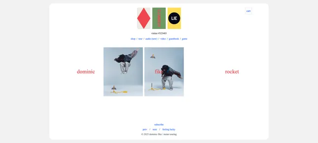 Project image