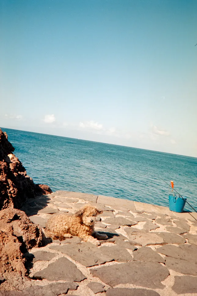 Project image
