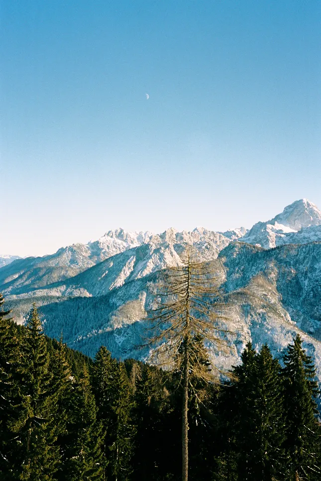Project image