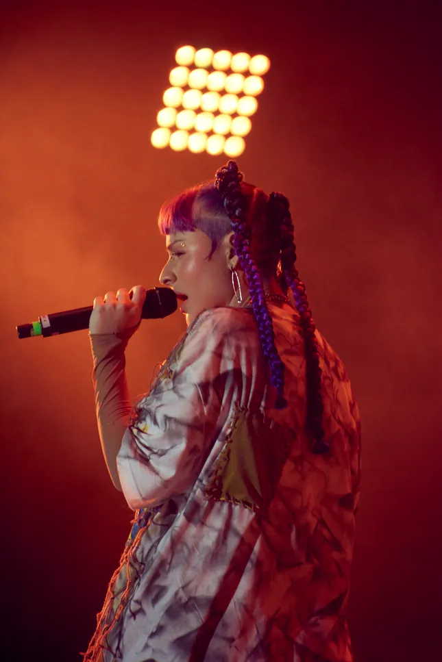 Concert Coverage for Artists