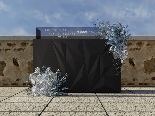 Project image