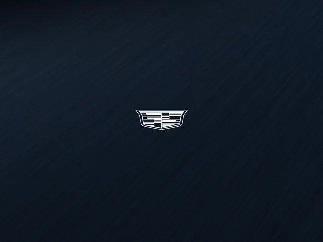 Cadillac VISTIQ Winter