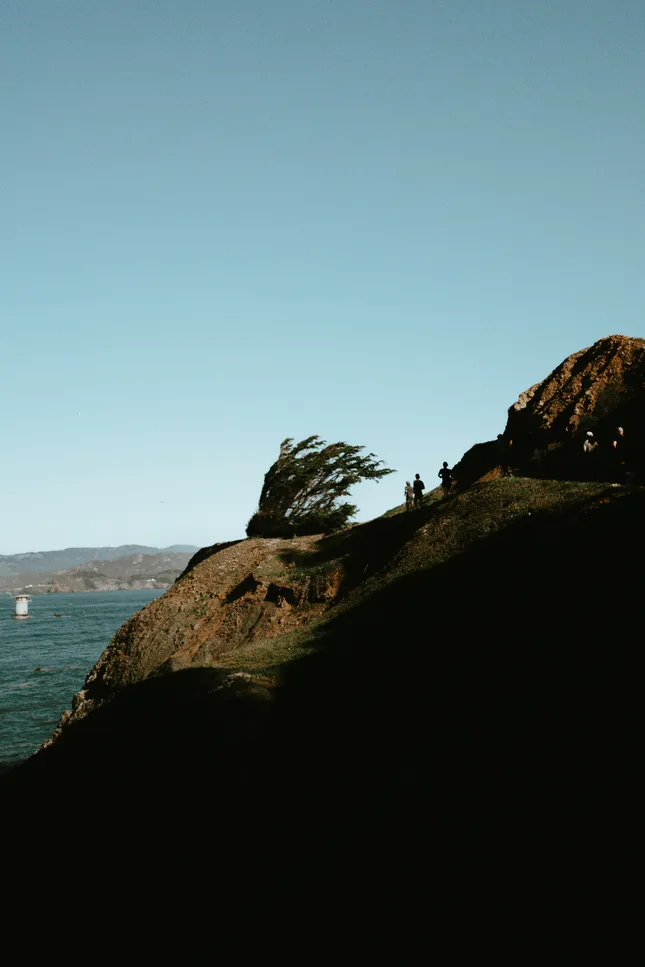 USAL SF Trail Run