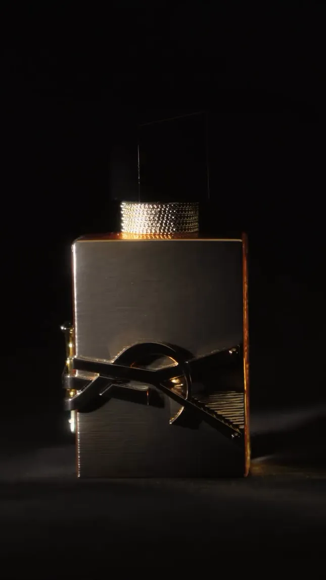 YSL Beauty Campaign