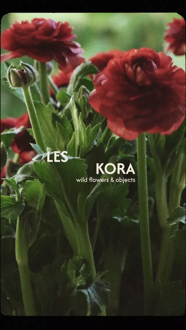 les kora
