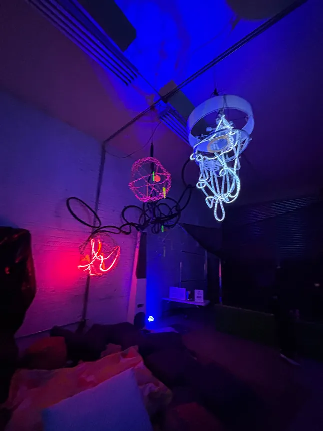 Project image