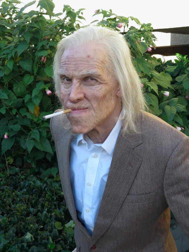 Prosthetics and wig