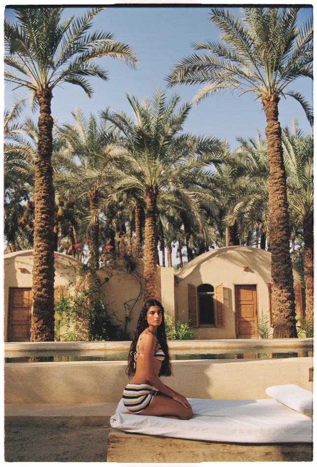 Tropic of C in Egypt