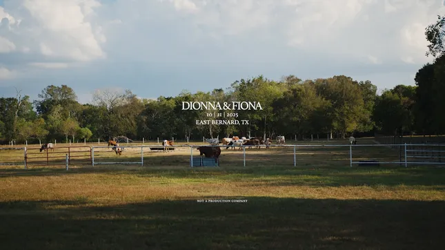 Documentary