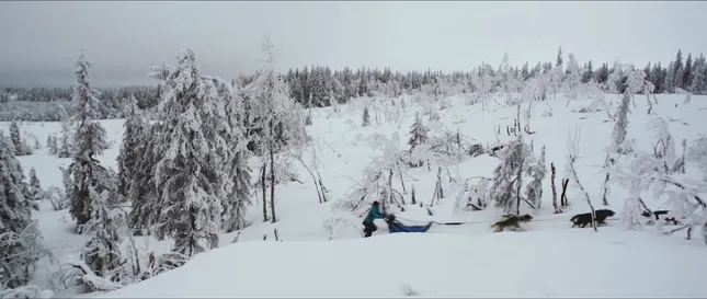 White Dream - Doc