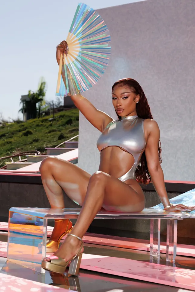Megan thee Stallion Hot Girl Swim x Walmart
