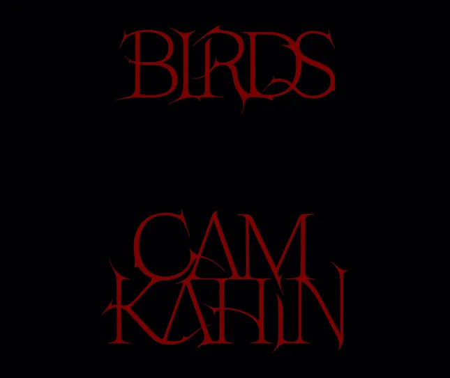 Title Design for Cam Kahin 'Birds' Music Video