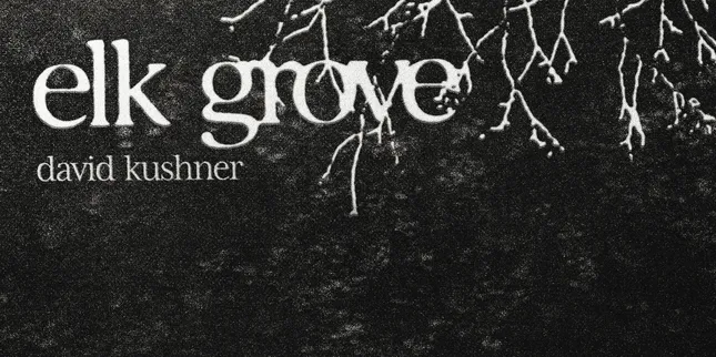 David Kushner 'Elk Grove' Single Cover and Banner Design