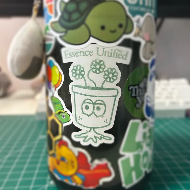 Project image
