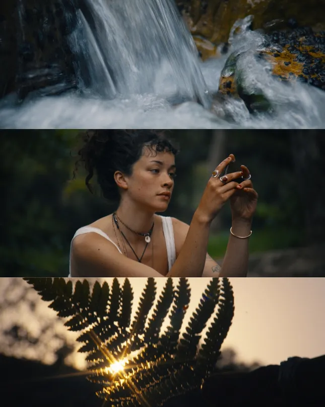 DUALITY