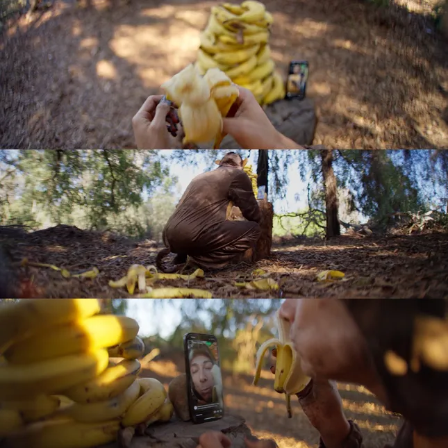 A Monkeys Portion