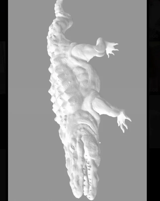 Project image