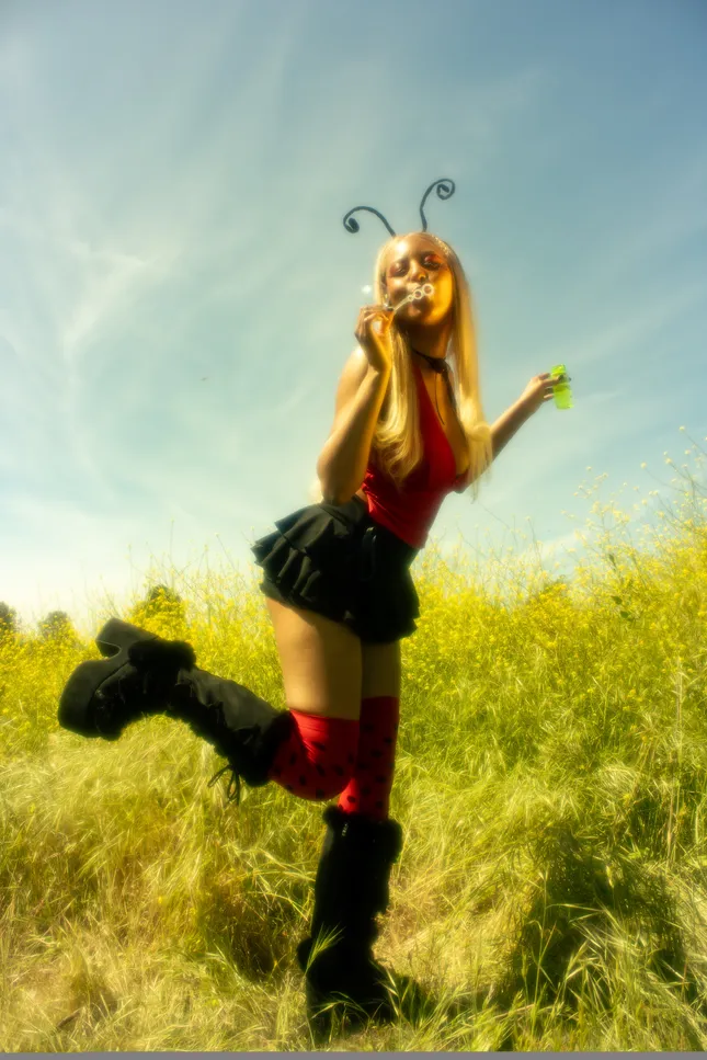 Ladybugs