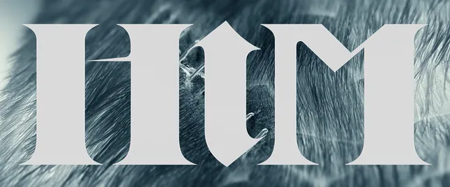HIM [2025]