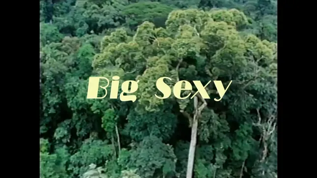 Jackie Moontan - BIG SEXY
