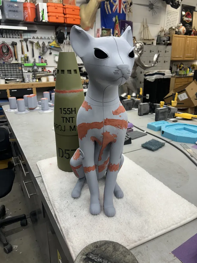 Project image