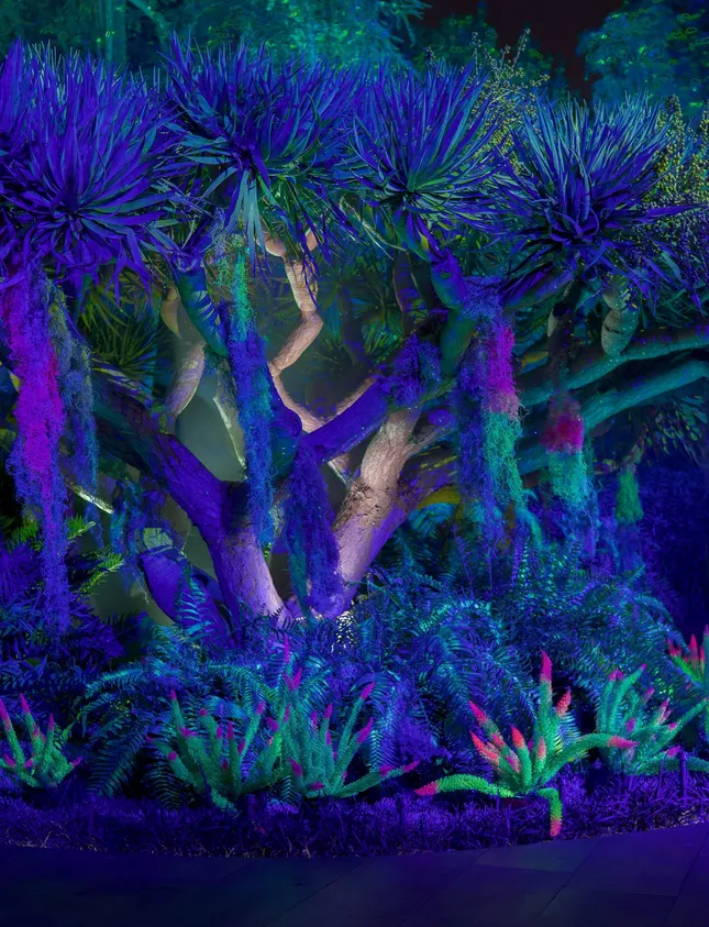 Project image