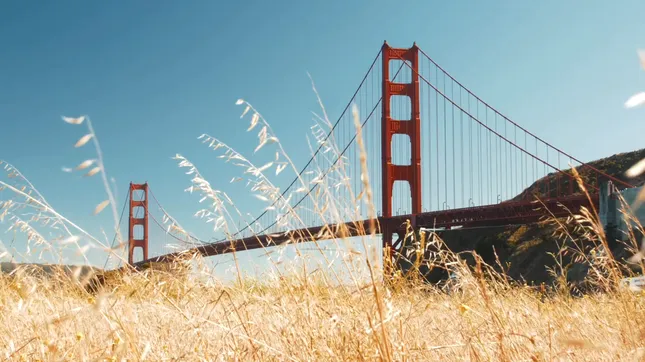 Brand Story - National MS Society Gala Film