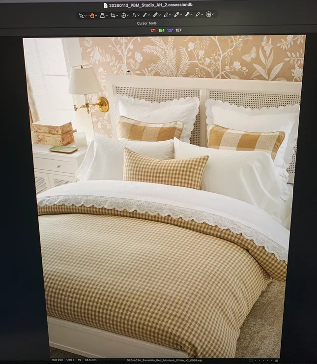 Project image