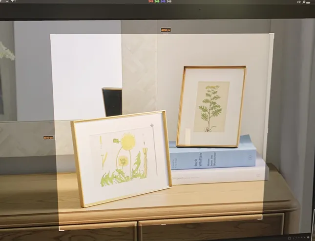 Project image