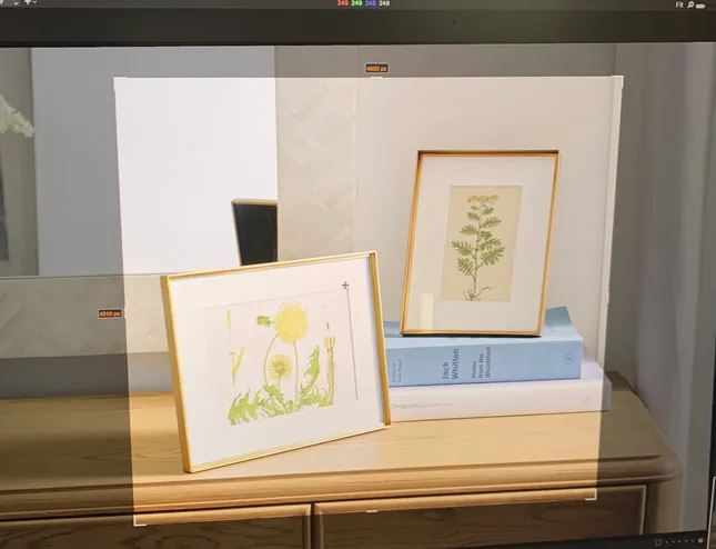 Project image